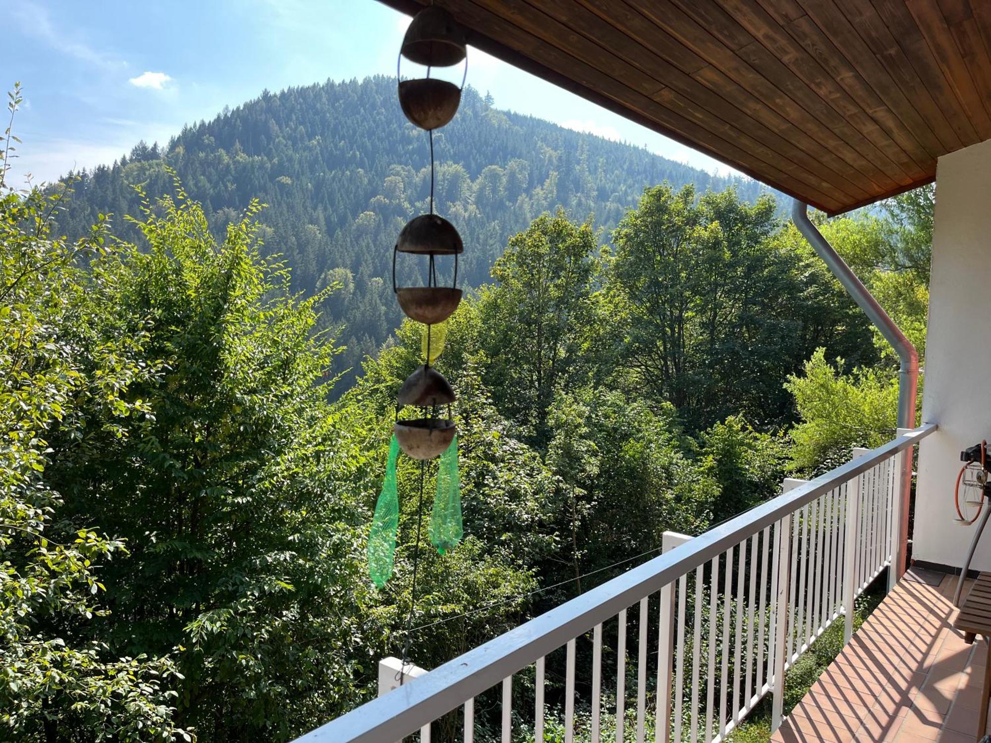 Waldhaus Max Apartment Bad Wildbad Exterior photo